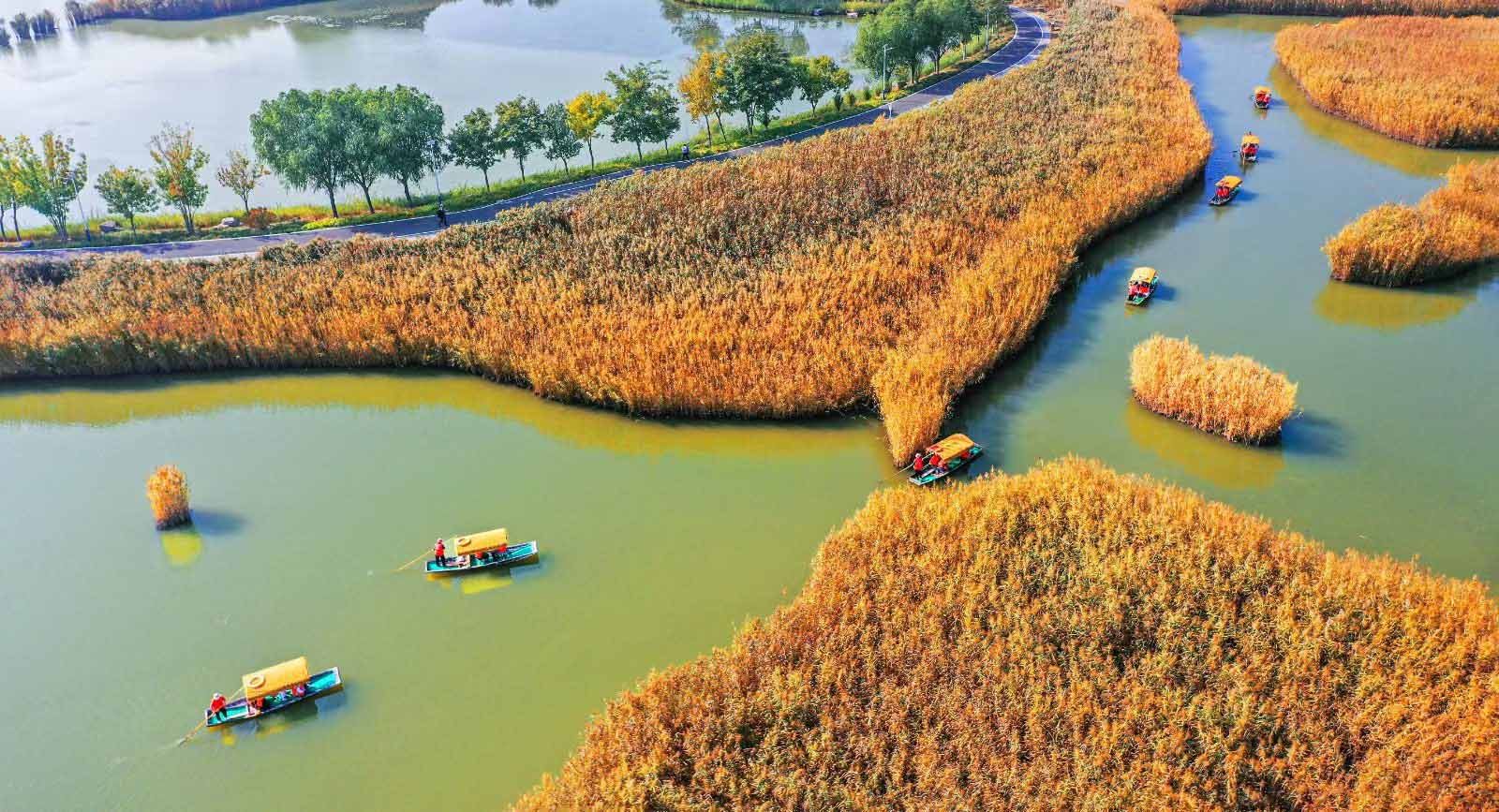 【北国江南 鱼米之乡】马踏湖、天鹅湖国际慢城、黄河安澜湾游览区两日游