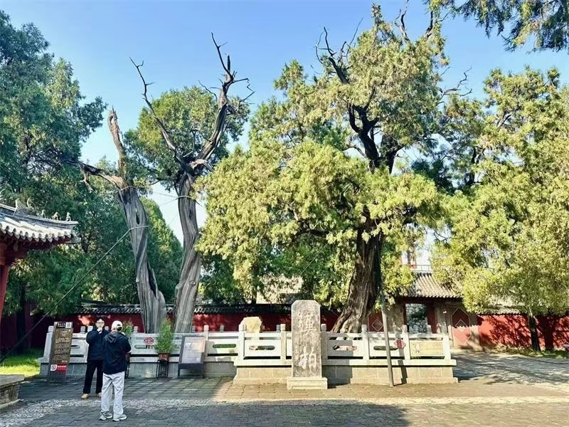 泰山、新大宋不夜城、济南三日游