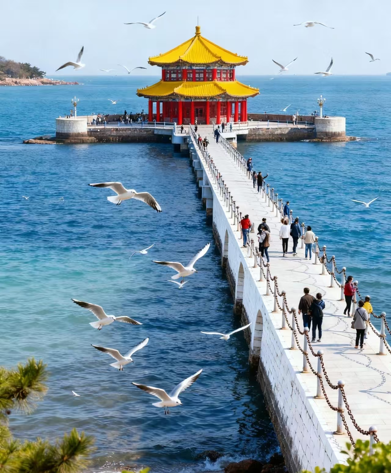 济南、淄博、蓬莱、威海、青岛六日游